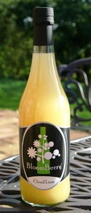 BloomBerry Juice bottled juices - ask for more details